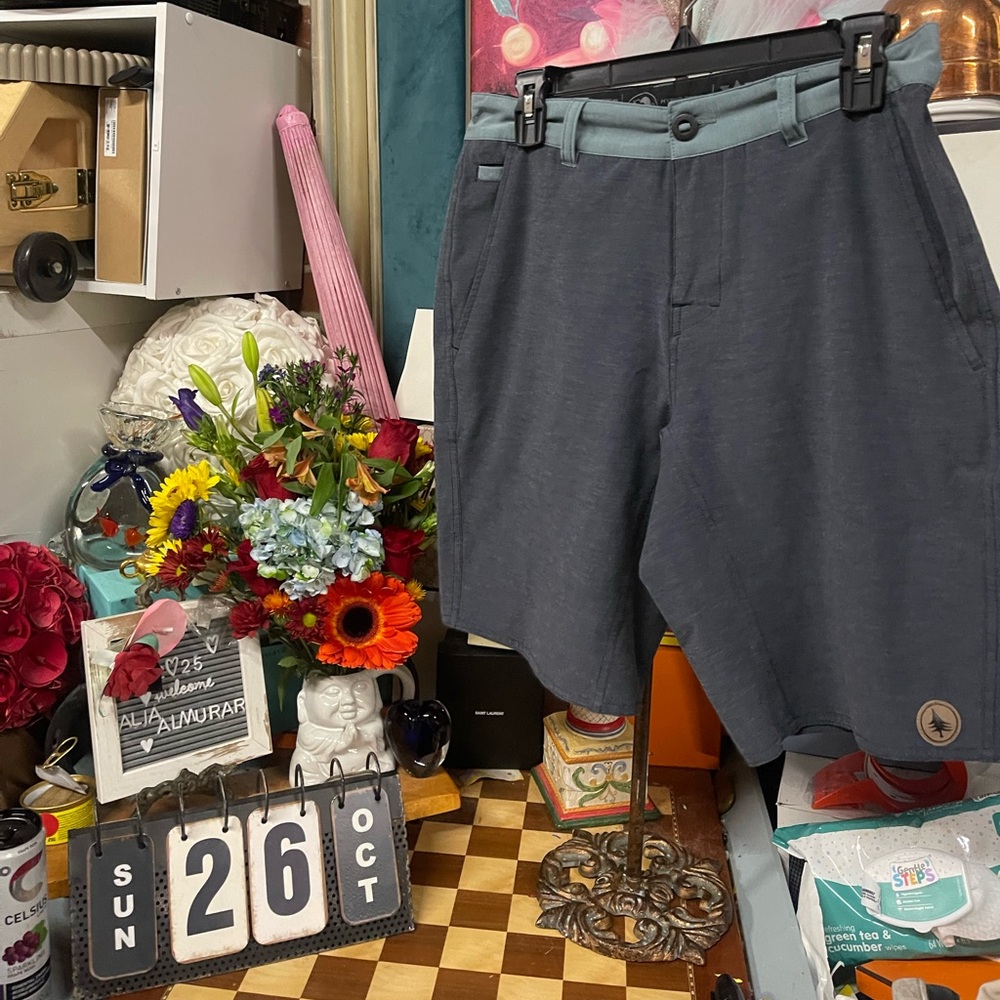 Hippytree Mens shorts size 30